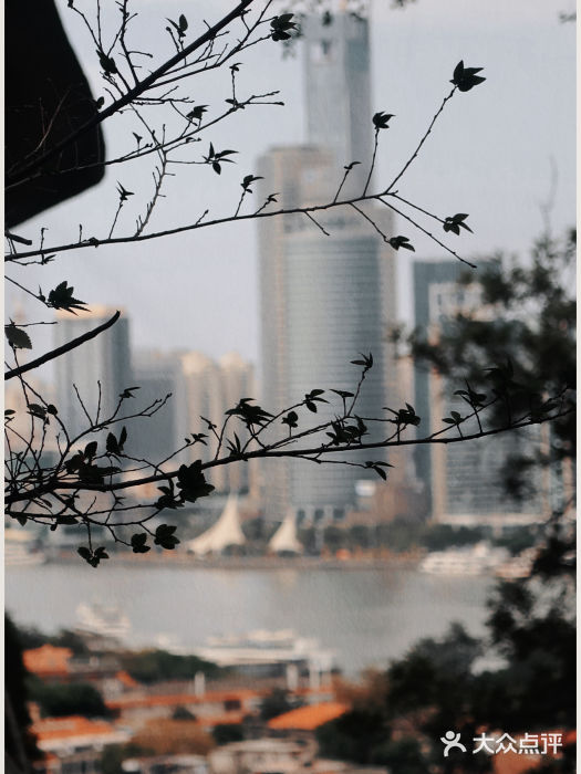 鼓浪屿图片