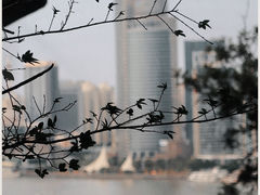 -鼓浪屿