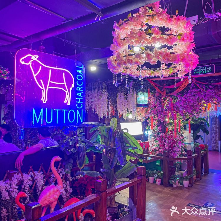 征服无数人的味蕾,盐池滩羊到底有哪些“过羊之处”❓