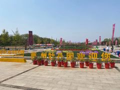 -曹州牡丹园