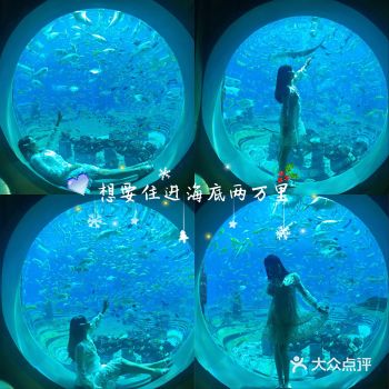 打卡热门影视剧拍摄地——失落的空间水族馆