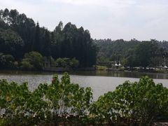 -三水森林公园