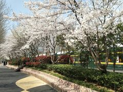 -砂之船奥莱(南京江宁店)