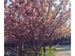 -兴福老面馆(寺路街店)