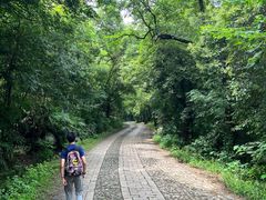 -紫金山天文台
