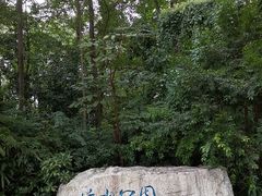 -成都市活水公园