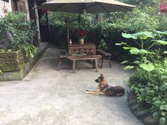 -亦缘居私家别院