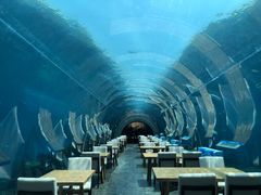 -海棠湾洲际-涛·海底餐厅·美人鱼·自助餐·海底隧道