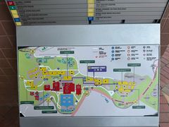 -香港大学
