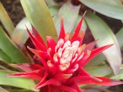 -南山植物园