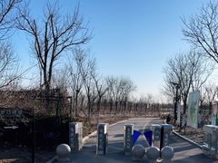 -天津东丽湖风景区