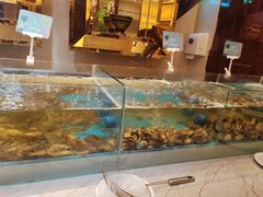 -盛宴标帜西餐厅龙虾.鲍鱼•牛排(重庆喜来登大酒店)