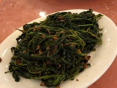 炒麻叶-深运潮州粥(东门店)