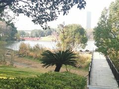 -美兰湖景区