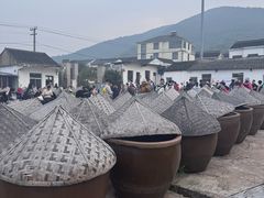 -苏州市吴中区光福窑上花果蜜饯厂