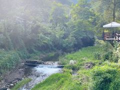 -Local泰莲庭(虹鳟鱼店)
