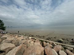 -宝安西湾红树林湿地公园