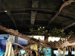 -国家自然博物馆