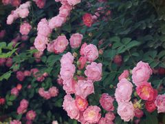 -廊坊文化艺术中心