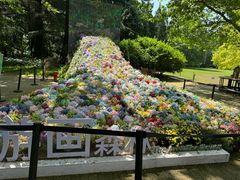 -上海共青森林公园