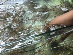 -班赞海鲜市场