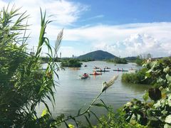 -芒洲湿地公园