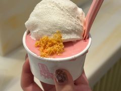 -红楼HONGLOU Gelato(淮海中路店)