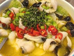 -今鲜源大酒店·海鲜锅贴青岛菜(新湛路店)