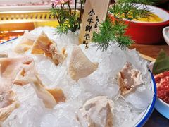 小牛鲜毛肚-九鼎轩脆毛肚火锅(三钢里店)