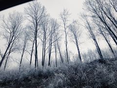 -太子岭滑雪场