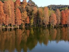 -广州市白云山风景名胜区