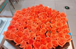 -I Do(齐齐哈尔新玛特购物广场店)