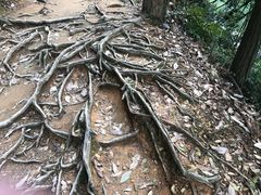-小格里自然风景区