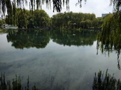 -百脉泉景区