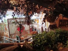 -叶叶菩提·晋福宫