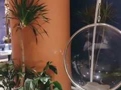-夏日玛莉西餐厅(金茂览秀城店)