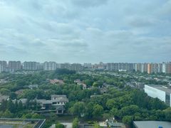 -上海浦东康桥绿地假日酒店