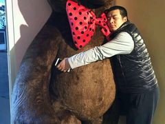 -济州岛泰迪熊博物馆