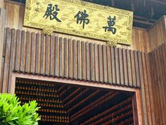 -深圳仙湖植物园