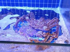 -驻海渔市(置信店)