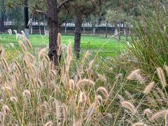 -汉长安城未央宫国家考古遗址公园