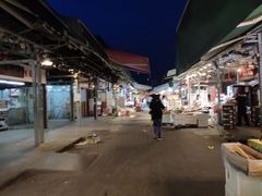 -油麻地果栏