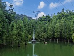 -广州市帽峰山景区