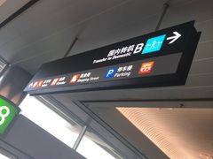 -厦门高崎国际机场-T3航站楼