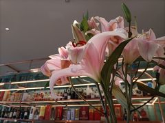 -南堂馆·新川菜(春熙路店)