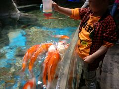 -多彩贵州城极地海洋世界