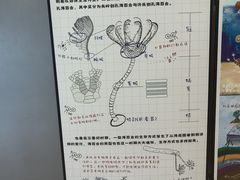 -贵州省地质博物馆