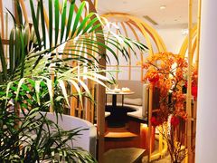 -梅间堂茶馆(绿地缤纷城店)