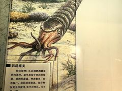 -贵州省地质博物馆
