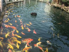 -湖鲜楼